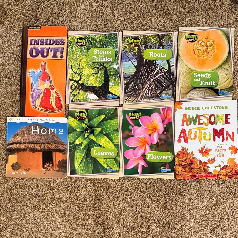 Colorful Educational Book Set